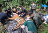 Evakuasi Harimau Sumatera  Berakhir Fatal di Lembah Hijau 