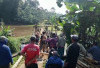 Sambut Panen Raya Kopi Warga Perbaiki Jembatan 