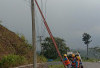 PLN Sumberjaya Lakukan Pemeliharaan Jaringan 