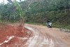Protes Tak Kunjung Diperbaiki,  Warga Tanam Batang Pisang di Jalan Rusak