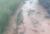 Banjir di BNS Sisakan Kerusakan Tanaman Padi