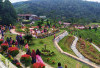 Kebun Raya Liwa Sudah Sumbang PAD Rp32,5 Juta