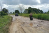 Ruas Jalan Sekincau-Waspada Rusak Parah