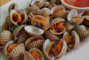 Kerang Dara, Ini Nutrisi dan Manfaat Bagi Tubuh Kita