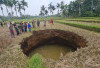 Lubang Raksasa Muncul di Situjuah Sumbar, Pakar Sebut Dipicu Geologi Karst dan Cuaca Ekstrem