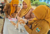 Vaksinasi Rabies Rampung  50 Kucing di Pesbar Telah Divaksin