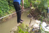 Petani Harapkan Perbaikan  Irigasi Way Laay Kiri