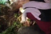Petani Suoh Tewas Diterkam  Harimau di Kawasan TNBBS