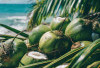 Ingin Rasakan Khasiatnya, Ini Waktu yang Tepat Minum Air Kelapa