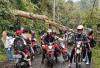 Diguyur Hujan Deras, Satu Pohon Tumbang di Jalur Sukabumi-Suoh 