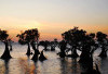 Keindahan Sunset Artistik di Pantai Walakiri
