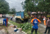 Antisipasi Dampak Pohon Tumbang,  BPBD Lakukan Pemangkasan di Jalan Wisata