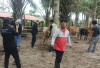 Sebelum Jual Ternak, Peternak Wajib Urus SKKH di DKPP Pesbar