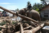 Empat Gajah Dikerahkan Bantu Pemulihan Pascabanjir, BKSDA Aceh Tegaskan Prosedur Ketat