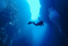 Pesona Tersembunyi  Taman Laut Olele