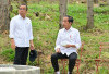 Pratikno Bertamu Saat Ulang Tahun ke-64 Jokowi, Momen Akrab Dua Sahabat Lama dari UGM