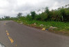 Peratin Padangtambak Naikkan Imbalan Pelapor Pembuang Sampah