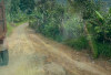 Kerusakan Jalur Temiangan Hill Terus Bertambah