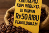 Kini Harga Kopi Robusta di Bawah Rp50 Ribu Perkilogram