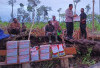 Pengungsi Kampung Yeleas  Yahukimo Dipulangkan
