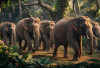 Kawanan Gajah Terpantau di Gunung Jeporo