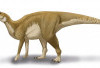 Spesies Dinosaurus Baru Ditemukan di Colorado: Enigmacursor mollyborthwickae Tambah Daftar Penghuni Jurassic