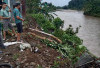 Waspada Banjir, Debit Air Way Laay Mulai Mengkhawatirkan 