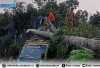 Lima Titik Pohon Tumbang di Balikbukit Rusak Rumah hingga Timpa Mobil Truk