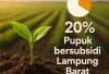 Baru 20 Persen Terserap, Jatah Pupuk Bersubsidi Terancam Mubazir?