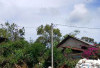 Harga Kopi Robusta Turun,  Petani Diminta Jaga Kualitas