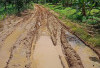 Belum di Prioritaskan,  Jalan Penghubung Bumi Ratu-Ulok Mukti Kembali Diusulkan