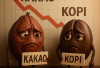 Harga Kakao dan Kopi Anjlok