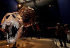 Penemuan Baru Ungkap Asal-Usul Tyrannosaurus Rex